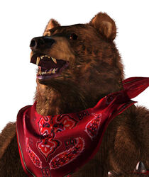 Portrait de Kuma tekken tag tournament.jpg