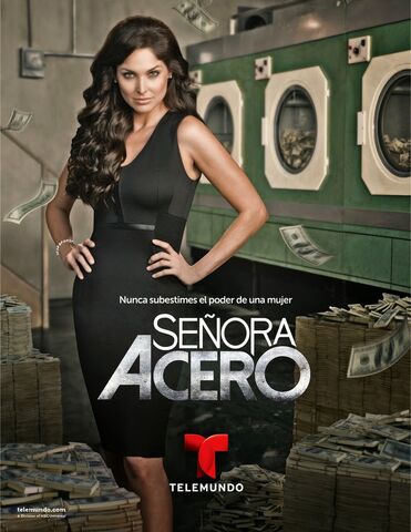 Archivo:Señoraacero.jpg