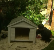 Teletubbies dog kennel 2