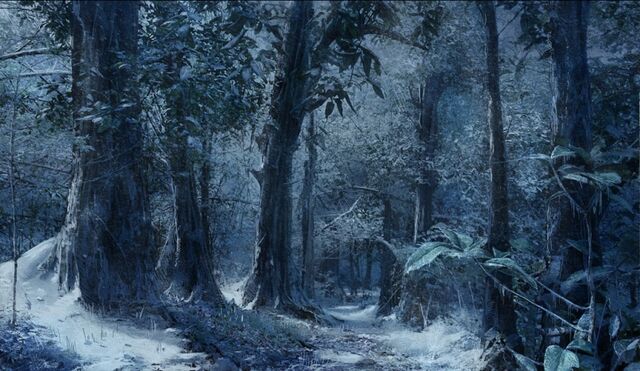 File:Ice Jungle.jpg