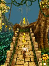 Temple run tree root