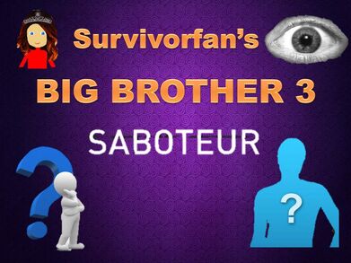 Big brother 3