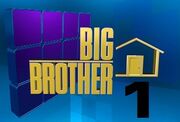 Blog bigbrother12 logo