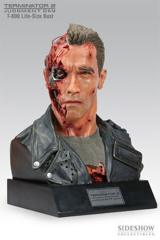 File:Lifebust2.jpg