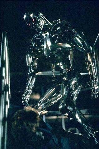 Datei:T-800endo3.jpg