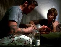 Derek 212.1