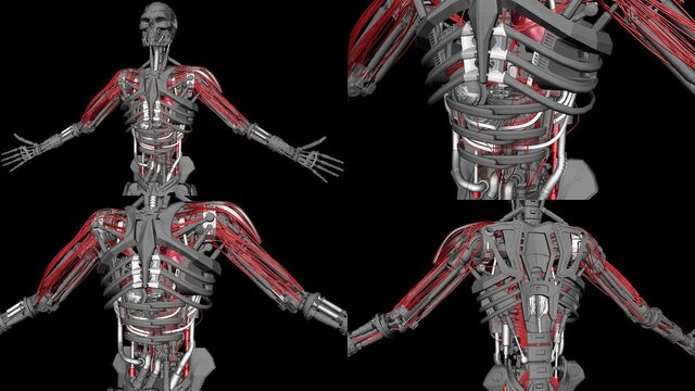 File:Hybrid-Endo- and-Vascular-System.jpg