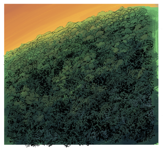File:TNbackdrop11WORK cs.png