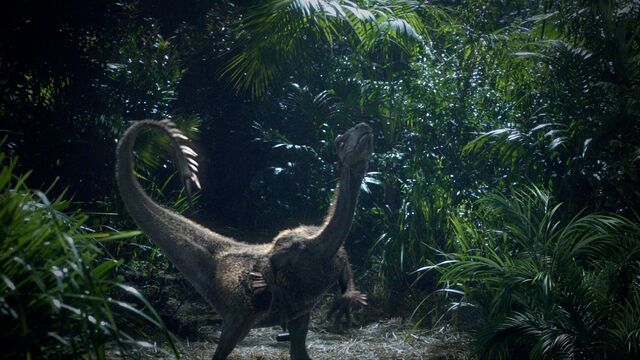 File:Nykoraptor.jpg