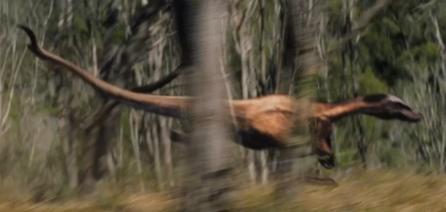 File:Nykoraptor3.png
