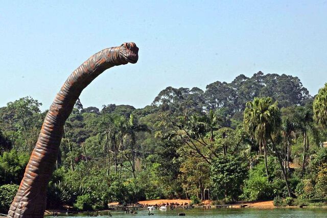 File:Terra Nova Brazil Brach.jpg