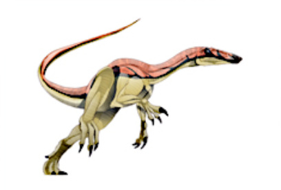 File:Nqwebasaurus-1.jpg