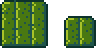 Кактус1.png