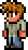 NPC 22.png