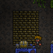 Broken Jungle Shrine