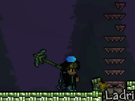 PicodeM.png
