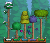 Different Trees.png