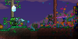 Balaf.png