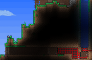 Wishing Well(2)