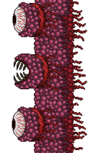 Wall of Flesh