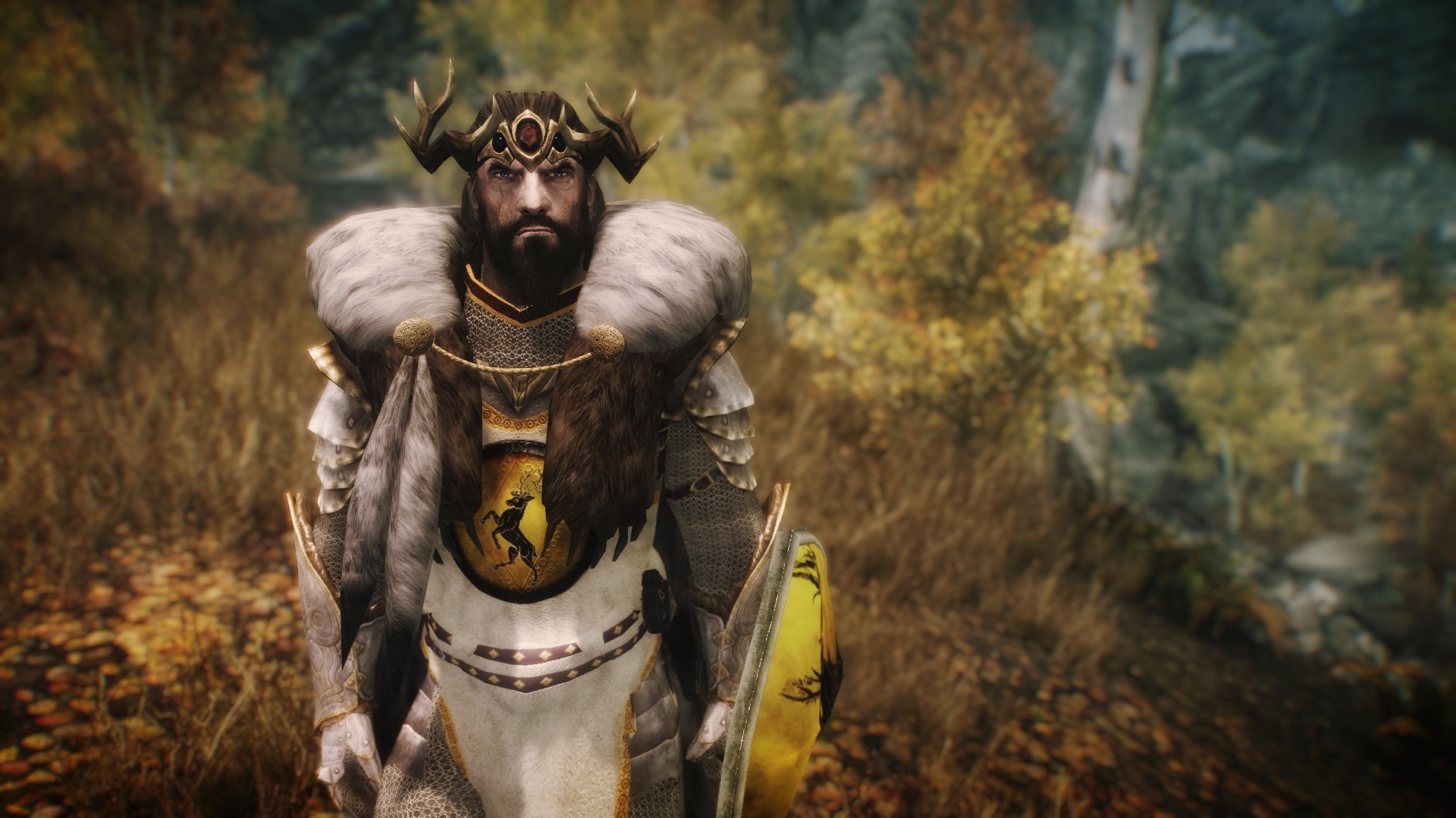 skyrim follower armor mod skyrim follower armor mod