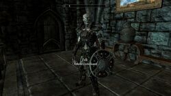 CVR Draugr Castle Guards