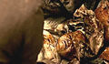Thumbnail for version as of 00:26, May 12, 2014