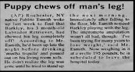 File:Newspaper 3.jpg