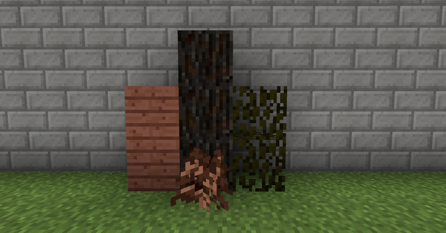 File:Spruce.png
