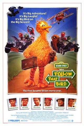 File:Follow that bird.jpg
