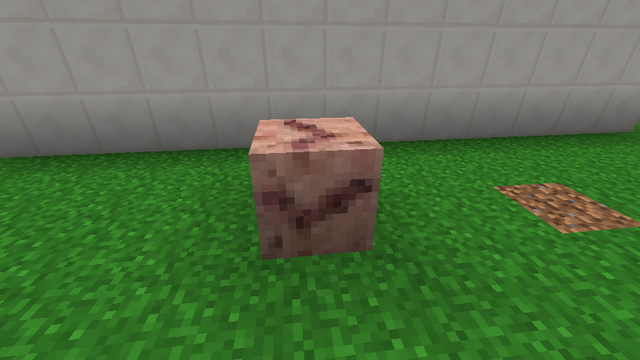File:Block of Flesh.png