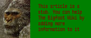 File:Stub the big foot wiki.png