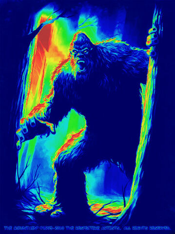 File:FotoFlexer Photo.jpg