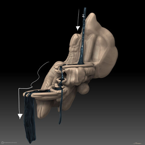 File:Simon Rodgers 64.jpg