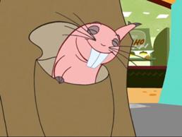 Rufus 1