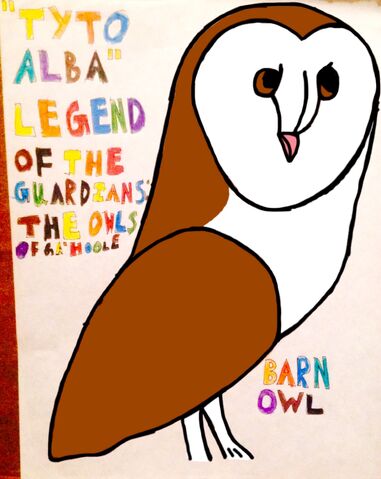 File:Barn owl.jpg