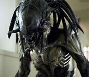 Predalien