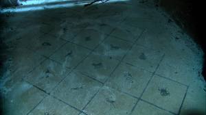 File:Hop Scotch Floor.jpg