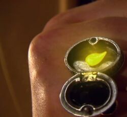 Tears of gold found by victor
