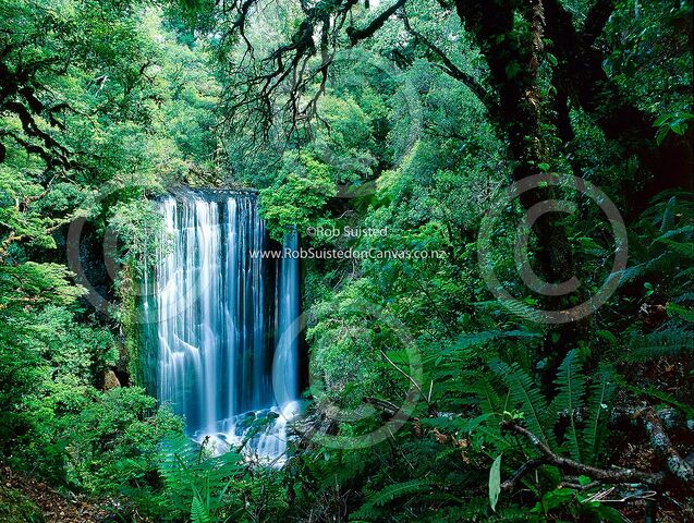 File:NZ4.jpg