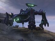 Scarab
