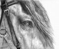 Thumbnail for version as of 13:27, October 4, 2015