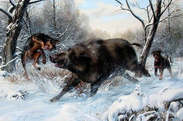 File:Boar.jpg