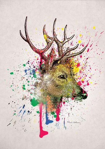 File:Deer.jpg