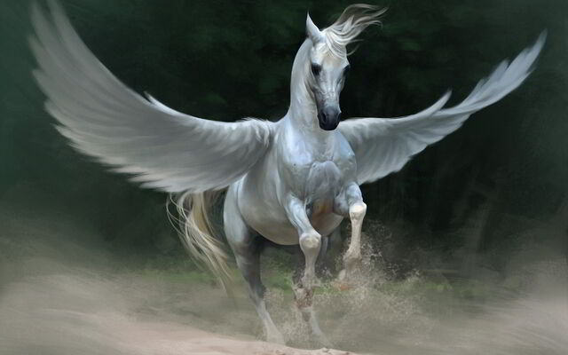 File:Pegasus1.jpg