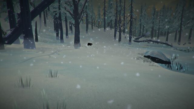 Файл:Unnamedpond3.jpg