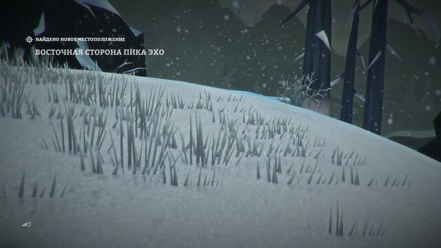 Файл:Echo.jpg