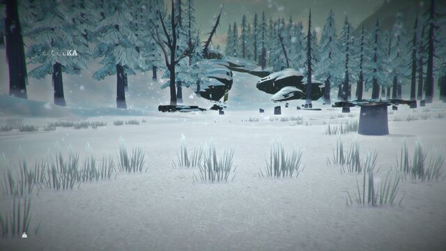 Файл:Clearcut3.jpg