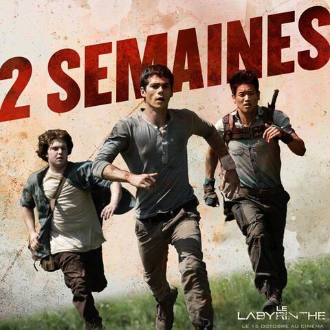 Fichier:2 semaines.jpg