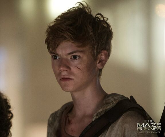 Fichier:Newt 3.jpg
